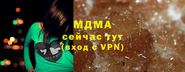 ПСИЛОЦИБИНОВЫЕ ГРИБЫ Горняк