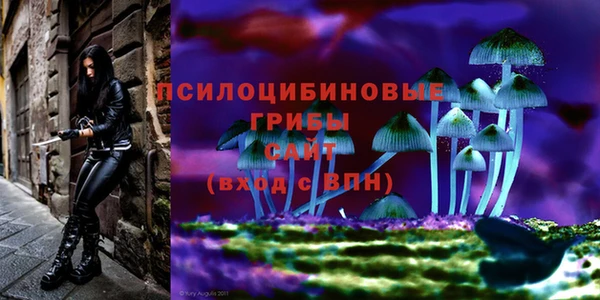 MESCALINE Гусиноозёрск