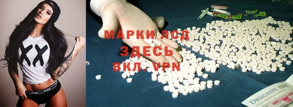 ПСИЛОЦИБИНОВЫЕ ГРИБЫ Горняк
