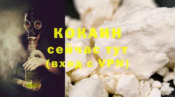 круглые Гусев