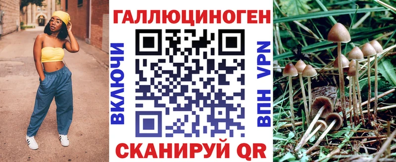 купить  цена  Южно-Сухокумск  Галлюциногенные грибы ЛСД 